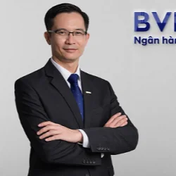 Nguyễn Hoàng Sơn — Phó Tổng Giám đốc